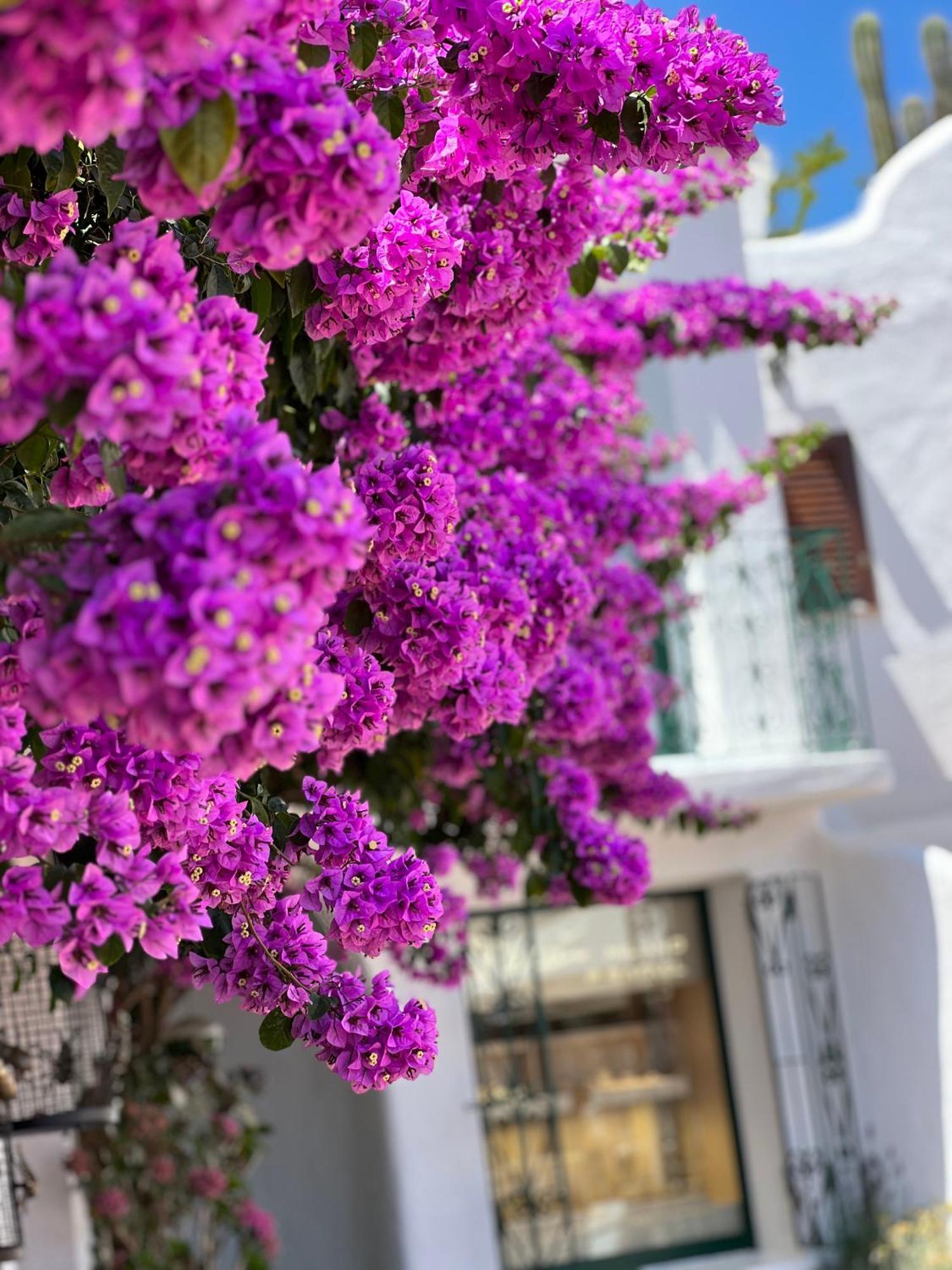 Boutique Hotel Solaz 포르토 라파엘 외부 사진